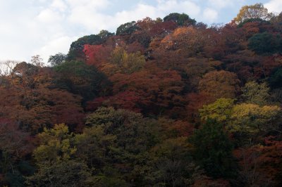 Arashiyama at Kyoto