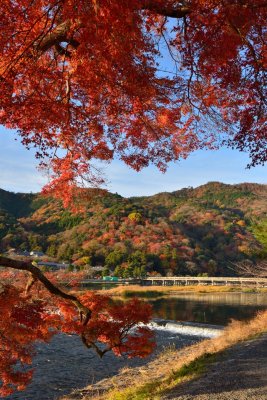 Arashiyama at Kyoto