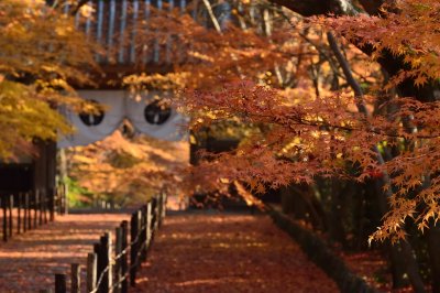 Komyoji-Temple