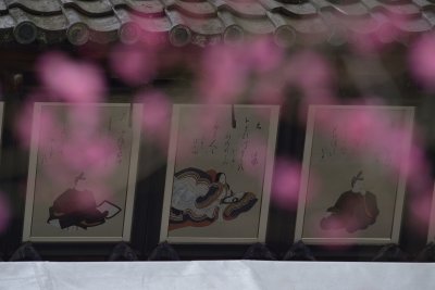 Baika sai 2014