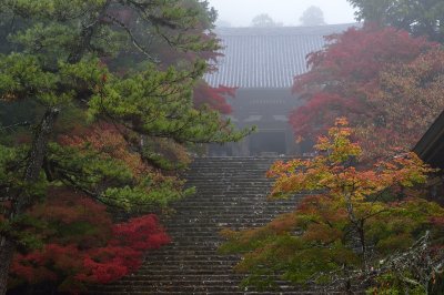Jingo-ji Temple at Kyoto 2014