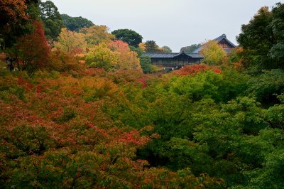 Tofuku-ji Temple at Kyoto 2014