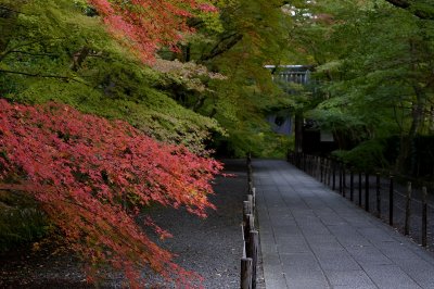 Komyoji-Temple at Kyoto 2014