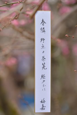 Baika sai 2015