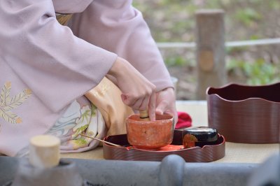 Baika sai 2015