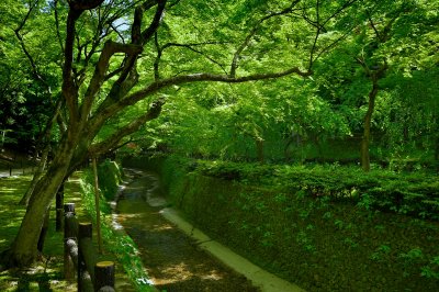Odoi Kitano Tenman-gu Shrine Kyoto