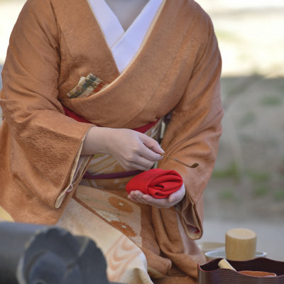 Baika sai 2016