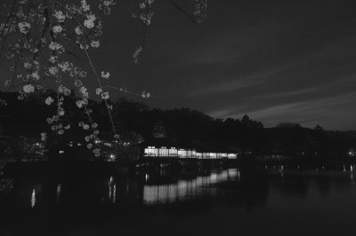 _DSC3567_pb_bw.jpg