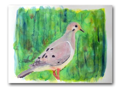 Summer Dove watercolor 9x12