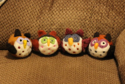 Owls