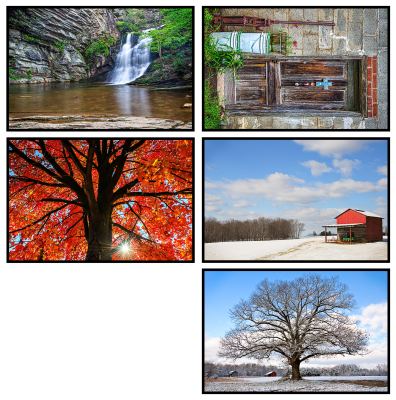 Stokes Co Greeting Cards