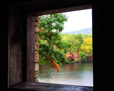 Autum View