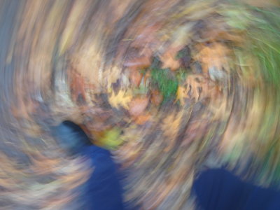 fungus 030.JPG