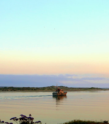 Morro Bay, CA