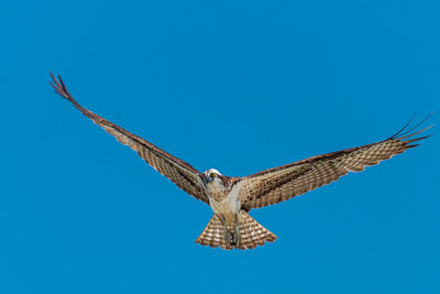 20130706-_DSC0234-Edit.jpg