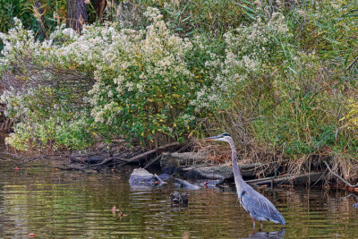 20131031-_DSC3522-Edit.jpg