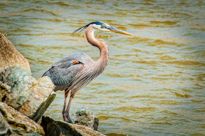 20110601-DSC_0372-Edit-Edit.jpg