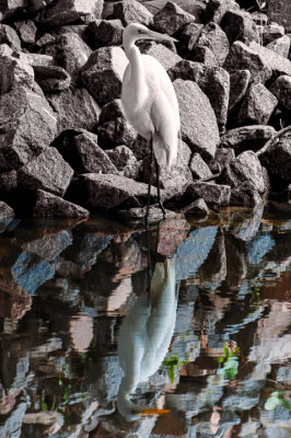 20120123-_DSC9335-Edit-4.jpg