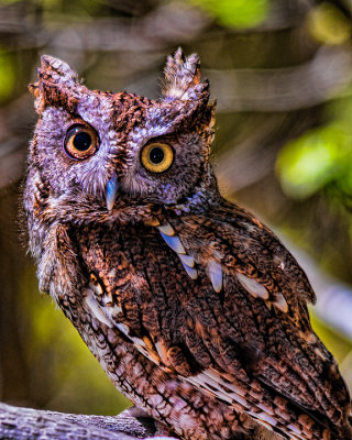 20140427-_DSC1677-Edit.jpg