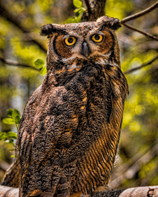 20140427-_DSC1691-Edit.jpg
