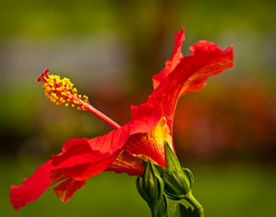 20110821-_DSC3614-Edit.jpg