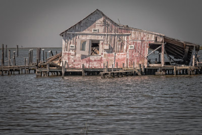 20130905-_DSC9138-Edit-Edit.jpg
