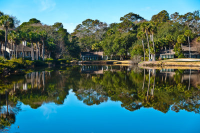 20120131-_DSC0298-Edit-2-2.jpg