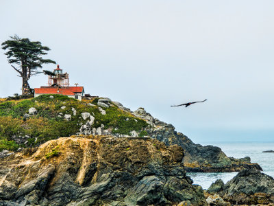 20120809-_DSC4536-Edit-2-Edit-2.jpg