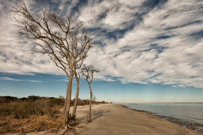 20140115-_DSC6643-Edit-Edit.jpg
