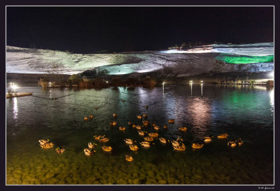 28 Ducks at Pamukkale