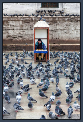 62 Street vendor and pigeons
