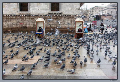 63 Two street vendor and pigeons