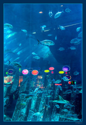 15 Aquarium