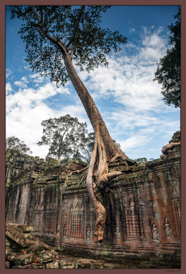 27 Balanced tree