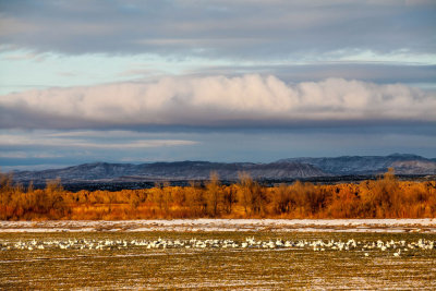 View NE Across Farm Fields.