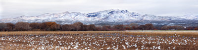 View NW from the Farm Fields to Chupadera Peak.