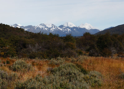 Darwin Range from Tierra del Fuego National Park