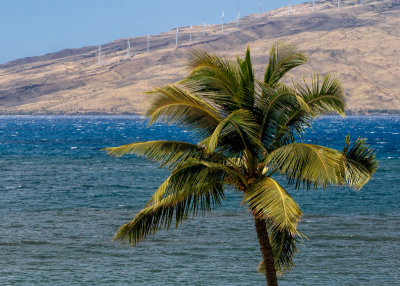 Ma'alaea Bay. Maui.