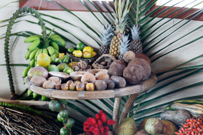Brazilian Fruits and Nuts
