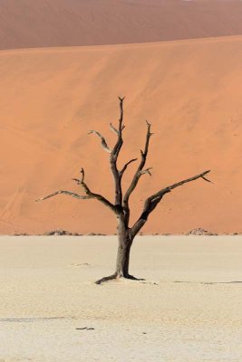 Sossusvlei Dunes