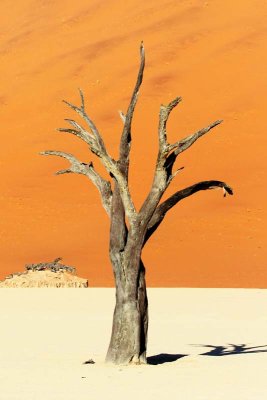 Sossusvlei Dunes