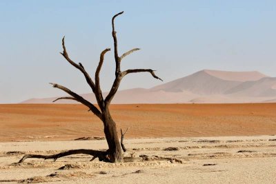 Sossusvlei Dunes