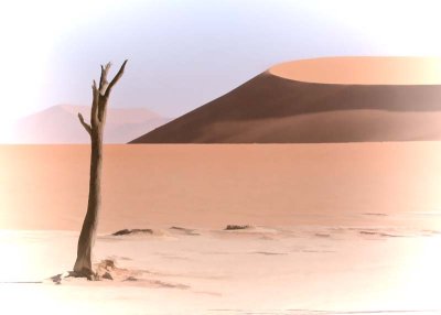 Sossusvlei Dunes