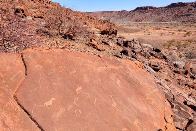 Petroglyphs. Twyfwlfontein.