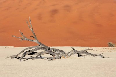 Sossusvlei Dunes