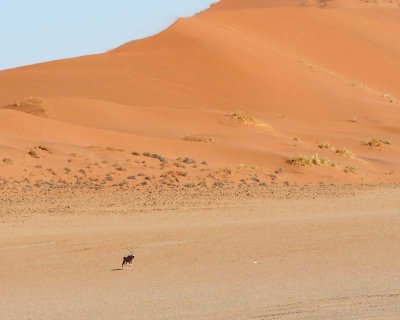 Sossusvlei Dunes