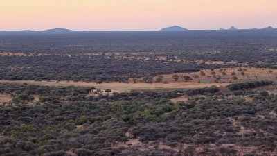 Sunset. Okonjima.