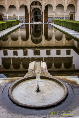 PATIO DE LOS ARRAYANES