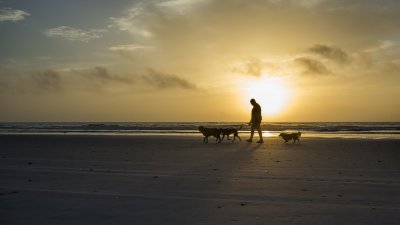 Dog Walk and Sun Rise