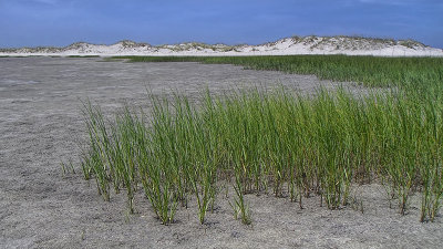 Dunes at Huguenot Memorial Park #4